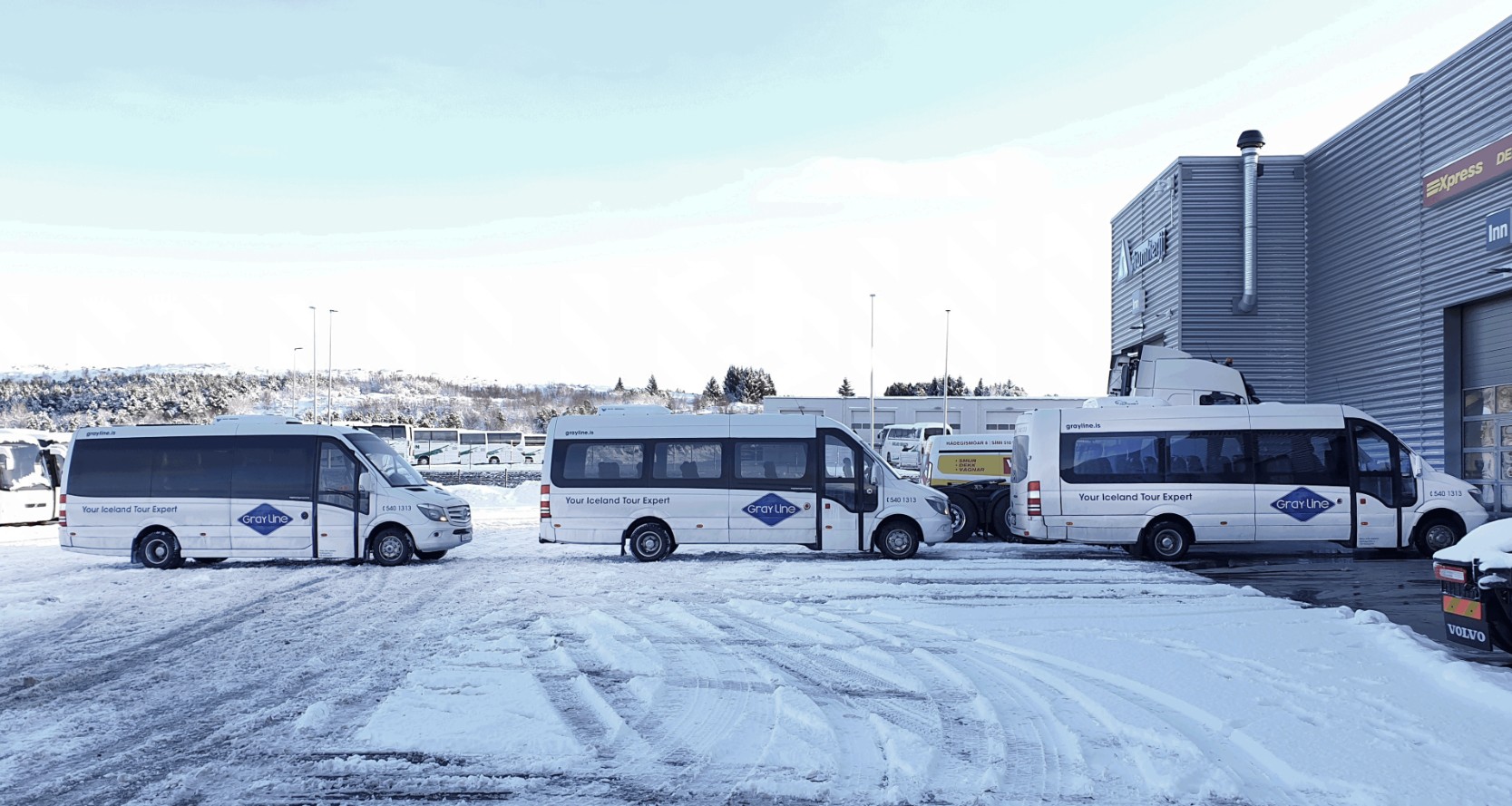 Grayline í ökurtitaþjónustu